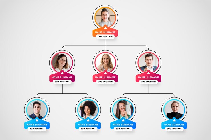 Vetor grátis infográfico de organograma gradiente com foto