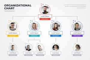 Vetor grátis infográfico de organograma linear e plano com foto