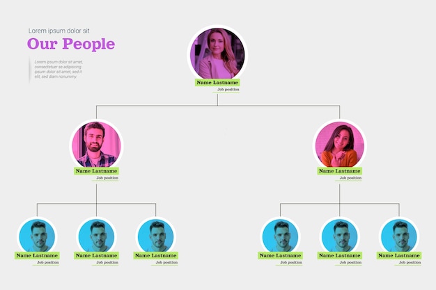 Infográfico de organograma plano com foto