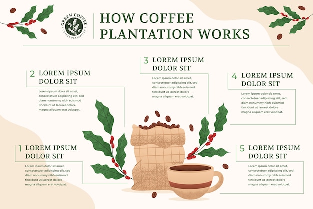 Infográfico de plantação de café de textura