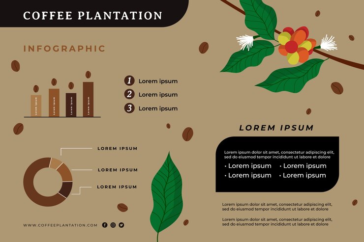 Vetor grátis infográfico de plantação de café desenhado à mão