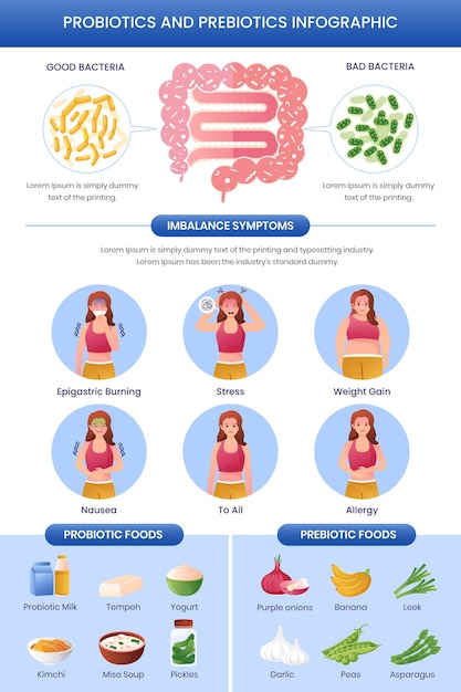 Infográfico de probióticos e prebióticos gradientes