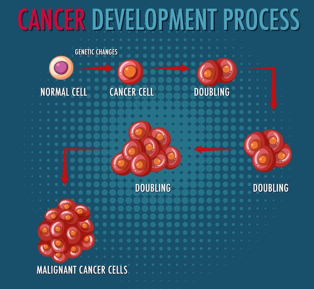 Infográfico de processo de desenvolvimento de câncer