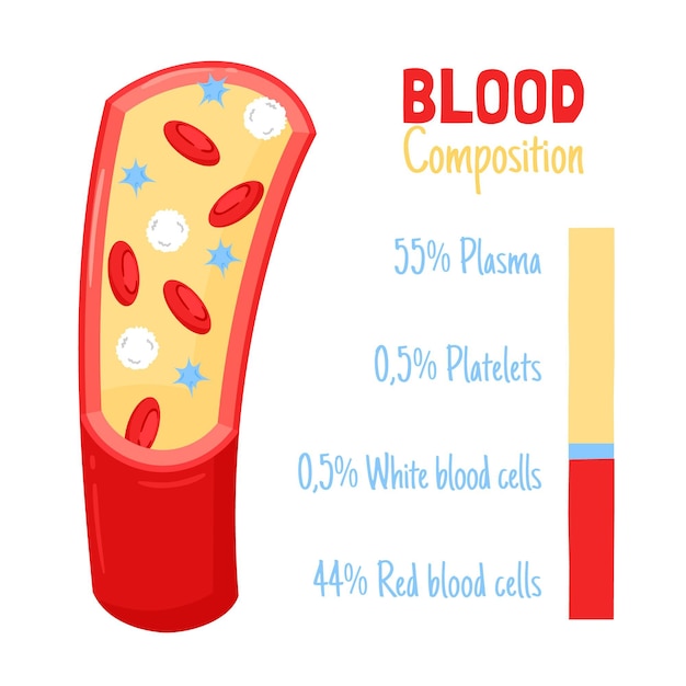 Infográfico de sangue desenhado à mão