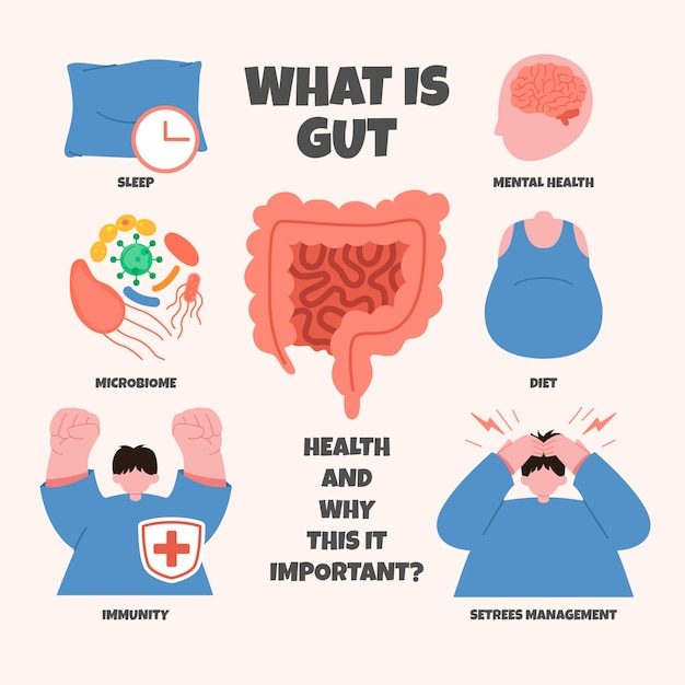 Vetor grátis infográfico de saúde intestinal desenhado à mão