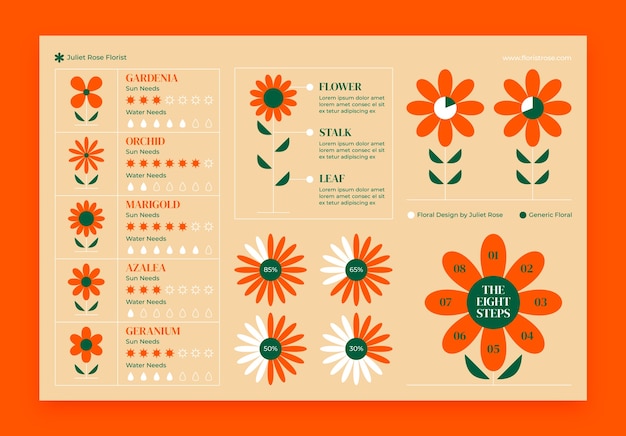 Infográfico de trabalho de florista de plantas minimalistas