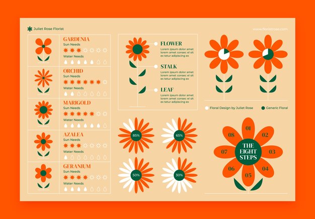 Infográfico de trabalho de florista de plantas minimalistas