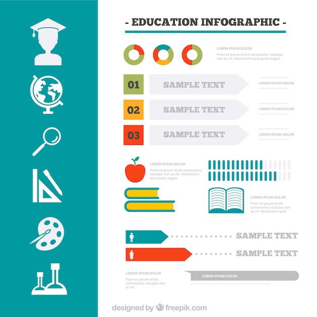 Infográfico educação colorido