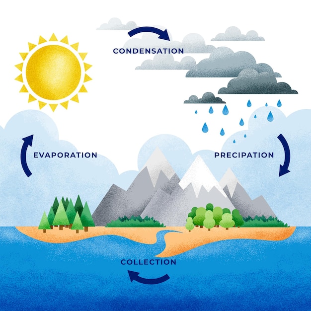 Infográfico geométrico do ciclo da água