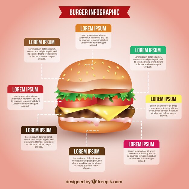 Vetor grátis infográfico hamburger delicioso