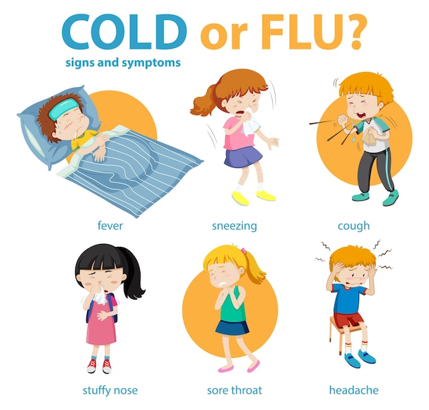 Vetor grátis infográfico médico de sintomas de resfriado ou gripe
