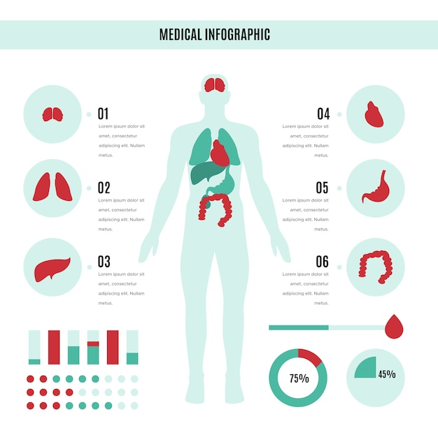 Infográfico médico do corpo humano com caixa de texto