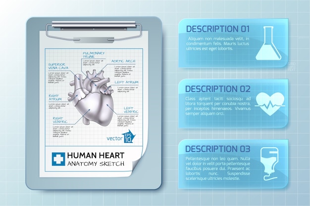 Infográfico médico