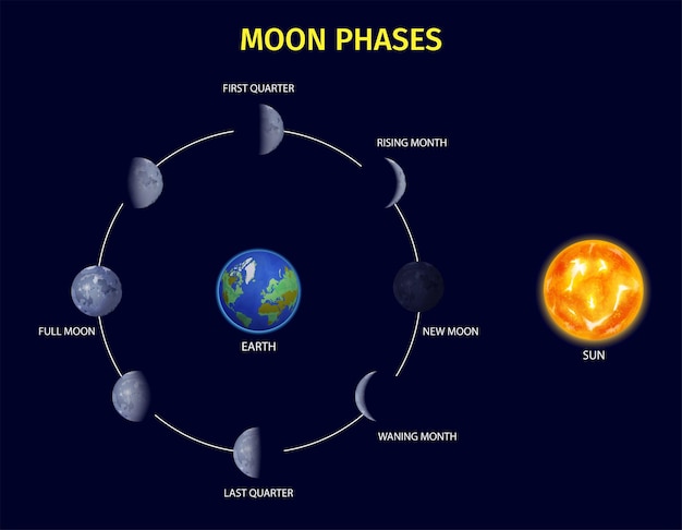 Infográfico realista das fases da lua com ilustração dos símbolos da lua nova e nascente