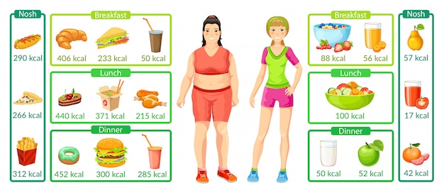 Vetor grátis infográficos coloridos para perda de peso