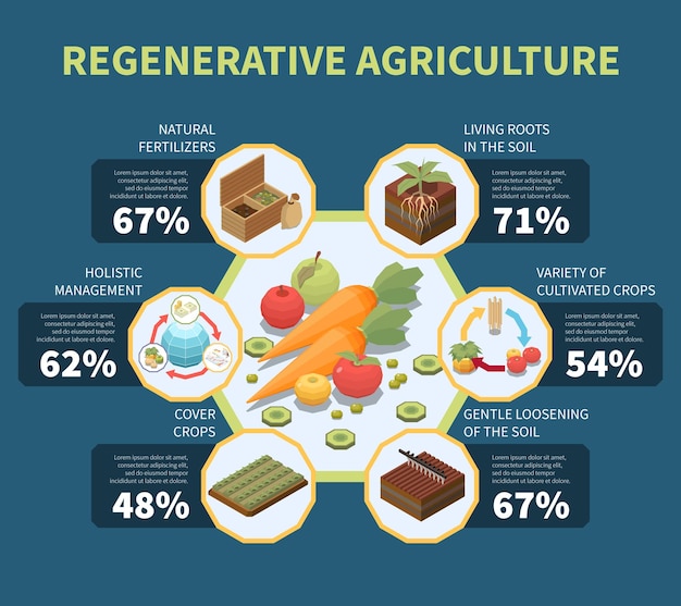 Vetor grátis infográficos de agricultura regenerativa com princípios de gerenciamento holístico de permacultura e ilustração vetorial de modelo estatístico