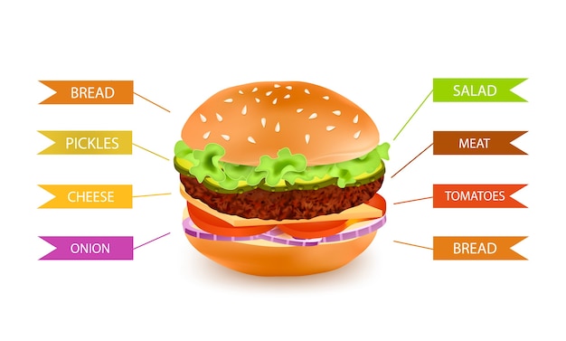 Vetor grátis infográficos de enchimento de hambúrguer de fastfood