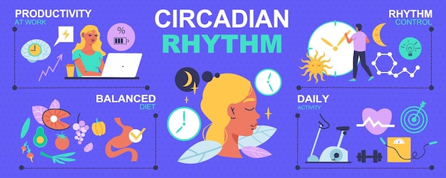 Vetor grátis infográficos de ritmo circadiano com rotina diária e símbolos de dieta equilibrada ilustração vetorial plana