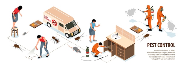 Vetor grátis infográficos isométricos de desinfecção de casa de serviço de controle de pragas com ilustração em vetor 3d de insetos e roedores de trabalhadores