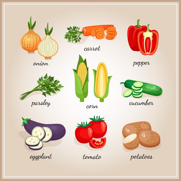 Ingredientes de vegetais. Coleção de ingredientes vegetais, cada um assinado pelo texto. Ilustração vetorial