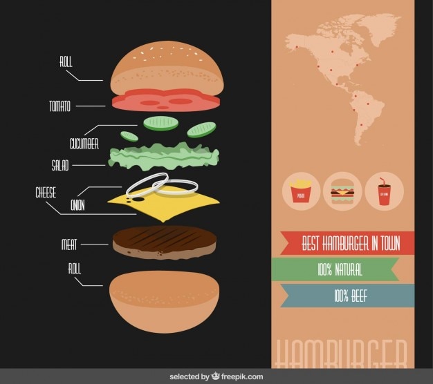 Ingredientes do hamburger infográficos