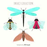 Vetor grátis insetos coloridos desenhados mão embalar