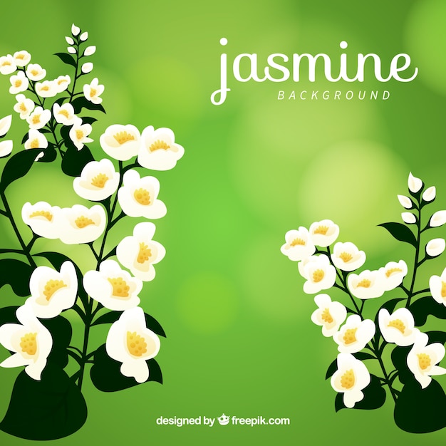 Vetor grátis jasmine com estilo decorativo