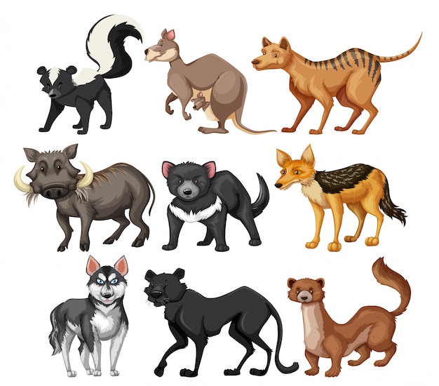 Jogo, de, animal selvagem, personagem