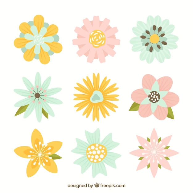 Jogo de flores bonitas em tons pastel