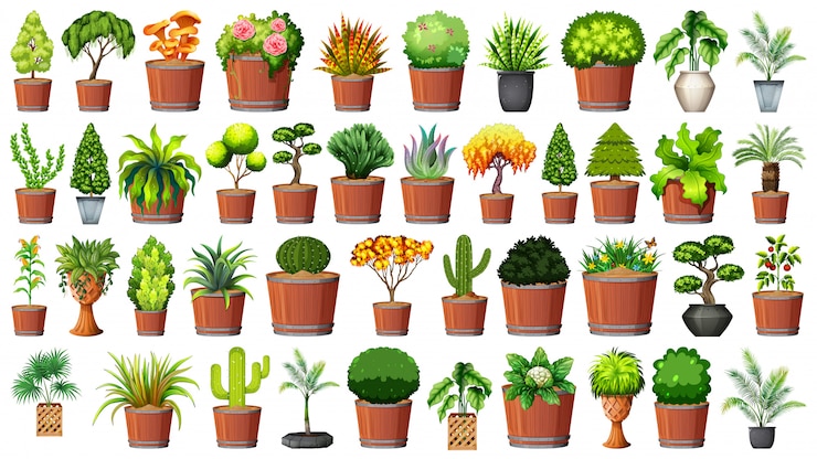 Vetor grátis jogo, de, planta, em, pote