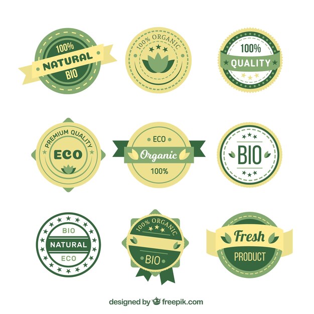 Jogo do eco-friendly produtos adesivos