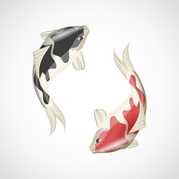 Vetor grátis koi fish illustration