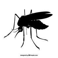Vetor grátis lado mosquito