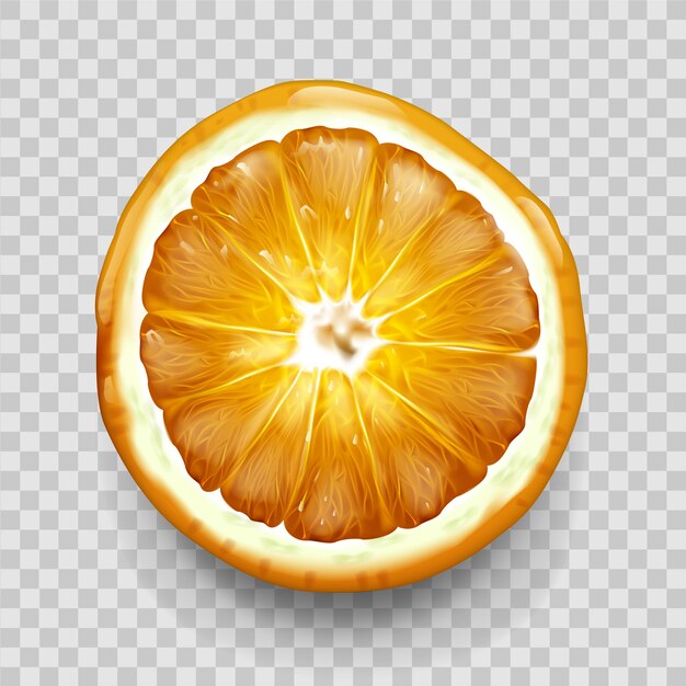 Laranja ou limão cortado na meia vista superior. Citrino