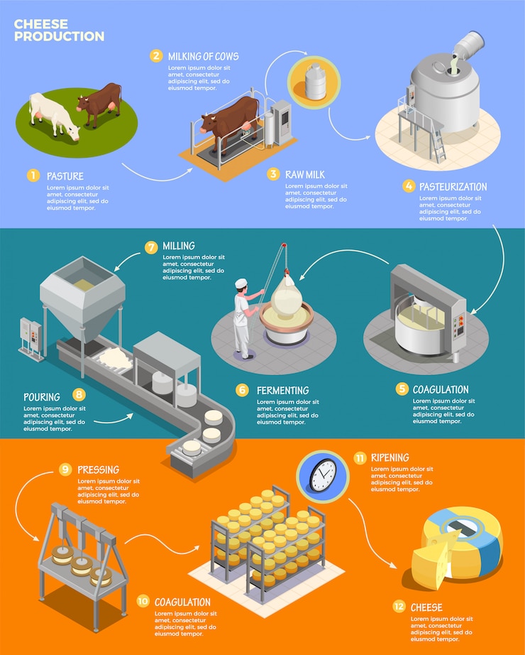 Vetor grátis layout de infográficos isométrica de produção de queijo com onze fases de preparação de queijo a partir de leite cru