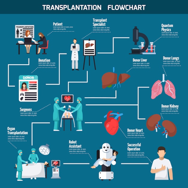 Vetor grátis layout do fluxograma de transplante