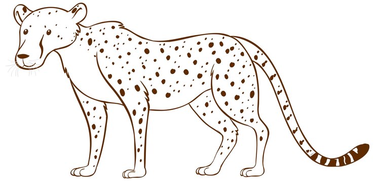 Vetor grátis leopardo em estilo simples doodle no fundo branco