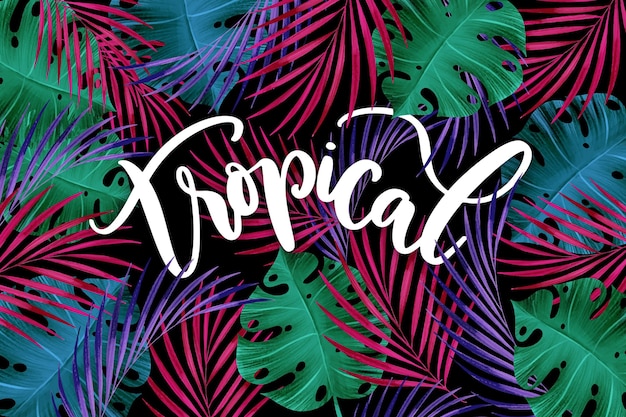 Letras de folhas tropicais coloridas