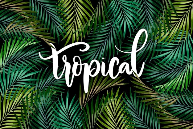 Letras de folhas tropicais de verão
