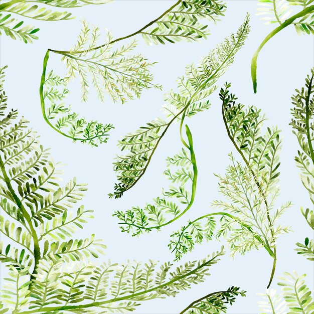 linda e elegante aquarela verde samambaia sem costura padrão floral