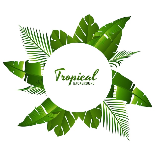 Vetor grátis lindas folhas verdes tropicais