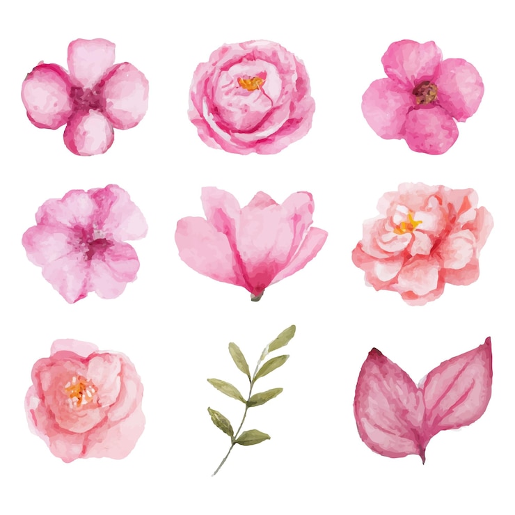 Vetor grátis lindo conjunto de buquê de flores em aquarela e folhas. elementos florais em aquarela