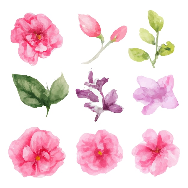Lindo conjunto de buquê de flores em aquarela e folhas. Elementos florais em aquarela