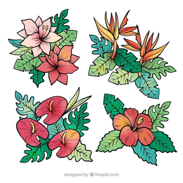 Lindo conjunto de mão desenhada flores tropicais