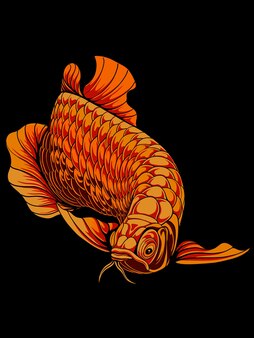 Lindo desenho vetorial de peixe aruanã
