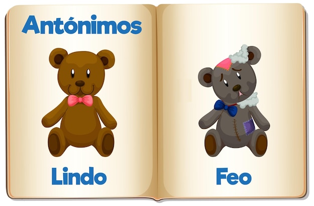 Lindo e feo antonym a palavra cartão em espanhol significa bonito e feio