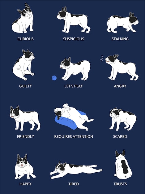 Vetor grátis linguagem corporal de emoções de cães definida ilustração vetorial plana isolada