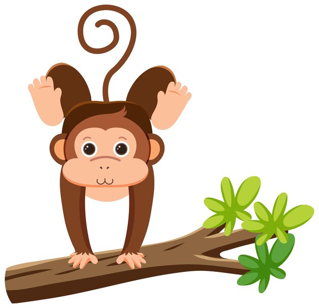 Página 27  Um Macaco Imagens – Download Grátis no Freepik