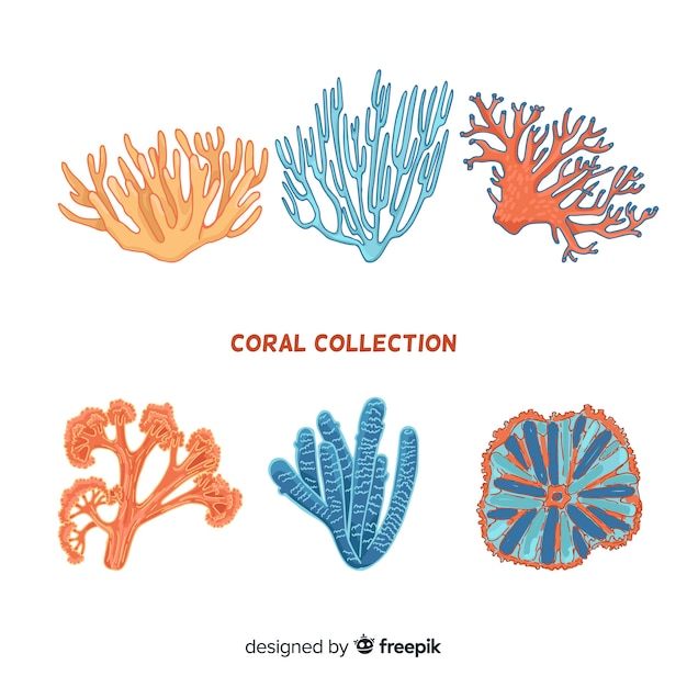 Vetor grátis mão desenhada coleção coral colorida