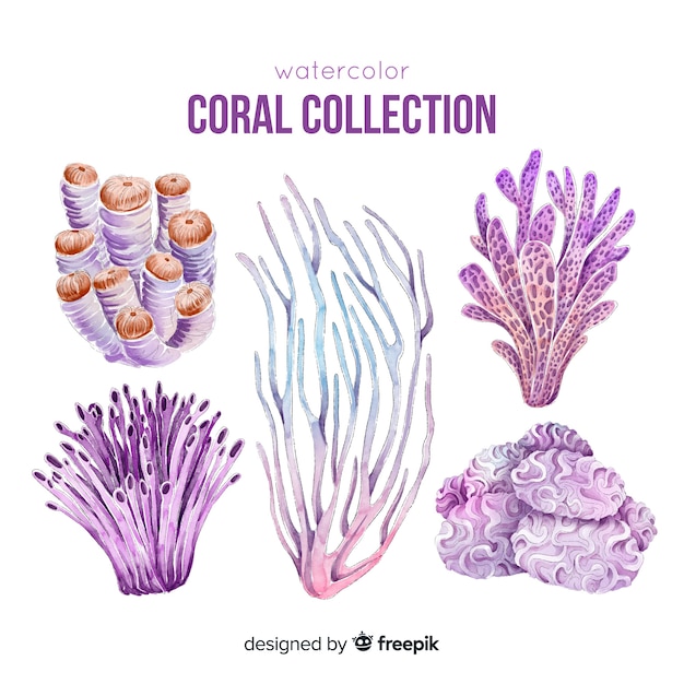 Vetor grátis mão desenhada coleção coral colorida